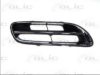 BLIC 6502-07-1608996P Radiator Grille